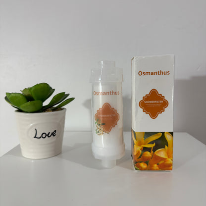 Pack Découverte Complet - 15 filtres Vitamine C (tous les parfums)