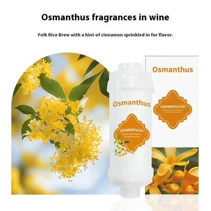 Filtre de Douche Vitamine C – Parfum au choix